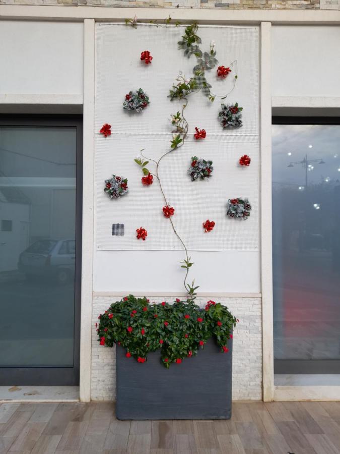 Dimora Palma Villa Alberobello Buitenkant foto